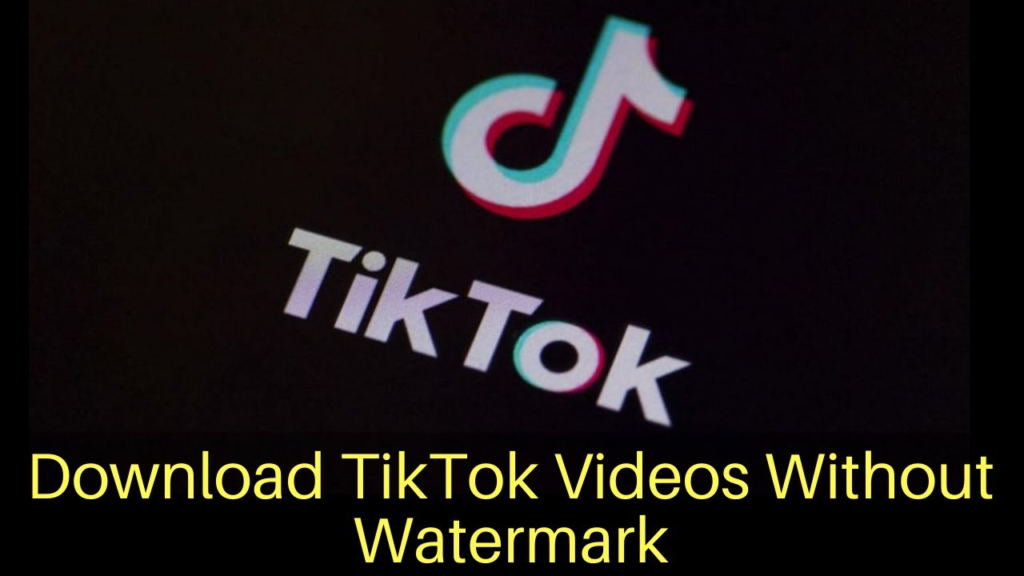 TikTok videos using SnapTik 